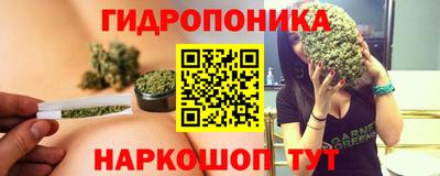 дмт Новодвинск