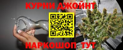 амф Новозыбков