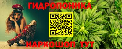 дмт Новодвинск