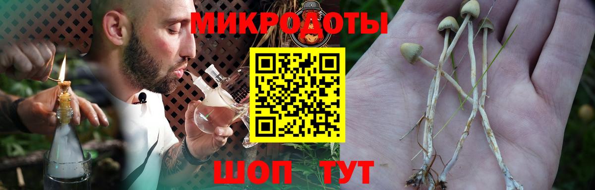 Псилоцибиновые грибы Psilocybine cubensis  где продают   Строитель  Вход с VPN 