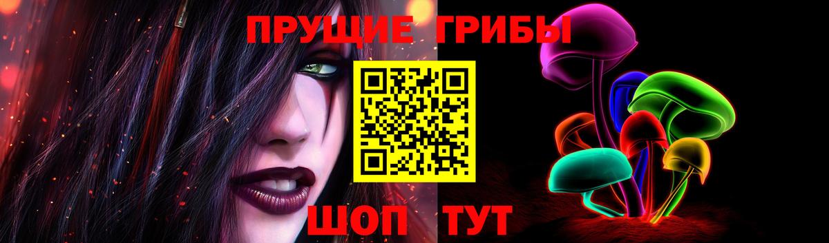 Псилоцибиновые грибы Psilocybe Строитель